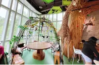 台北市立動物園大猫熊館の写真・動画_image_448375