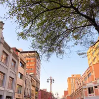 迪化街（Dihua Street）の写真・動画_image_448550