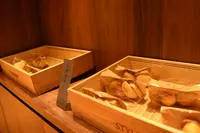 ネストホテル東京半蔵門の写真・動画_image_448730