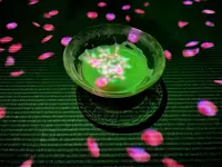 【閉業】森ビルデジタルアートミュージアム：エプソン チームラボボーダレス（MORI Building Digital Art Museum: EPSON teamLab Borderless）の写真・動画_image_448743