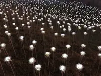LEDバラ庭園の写真・動画_image_448906