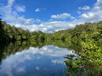 五色沼の写真・動画_image_449059