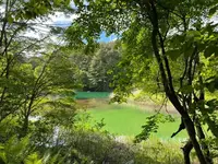 五色沼の写真・動画_image_449066