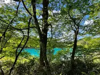 五色沼の写真・動画_image_449067
