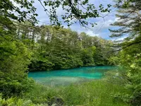五色沼の写真・動画_image_449068