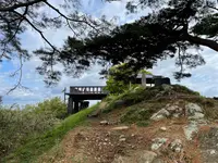 大高森の写真・動画_image_449089