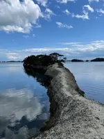 松島 馬の背の写真・動画_image_449139