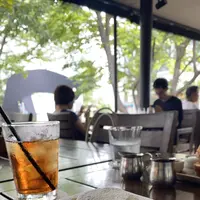 IVY PLACE(アイヴィープレイス)の写真・動画_image_449313