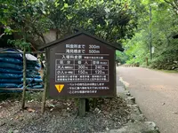 神庭の滝の写真・動画_image_449454