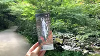 神庭の滝の写真・動画_image_449455