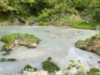 八幡平ビジターセンターの写真・動画_image_449490