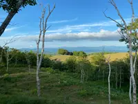 坐忘林の写真・動画_image_449552
