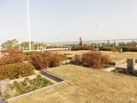 OMMビル スカイガーデンの写真・動画_image_449584