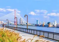 浜江大道の写真・動画_image_449652