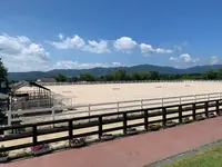 蒜山ホースパークの写真・動画_image_449771
