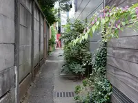 不動通り商店街の路地の写真・動画_image_44984