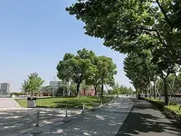 上海龍美術館西岸館停車場の写真・動画_image_449879
