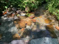塩釜の冷泉の写真・動画_image_449894