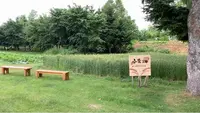 ますやパン 麦音の写真・動画_image_449962
