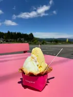 honeybee本店の写真・動画_image_450030