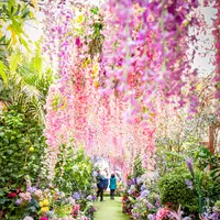 The Grounds of Alexandriaの写真・動画_image_450180