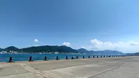 はい！からっと横丁の写真・動画_image_450184
