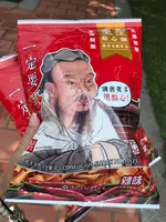 台南孔子廟 Tainan Confucius Templeの写真・動画_image_450523