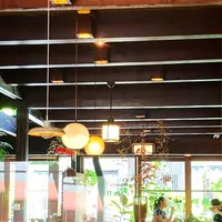 bibliotic helloの写真・動画_image_450656