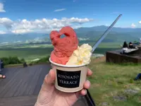 清里テラスの写真・動画_image_451014