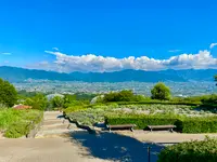笛吹川フルーツ公園の写真・動画_image_451141