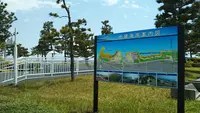 大蔵海岸の写真・動画_image_451927