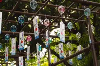 宇部市の写真・動画_image_451934