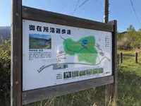 御在所園地・御在所湿原の写真・動画_image_452026