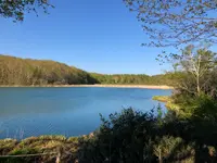 御在所園地・御在所湿原の写真・動画_image_452027