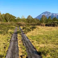 御在所園地・御在所湿原の写真・動画_image_452028