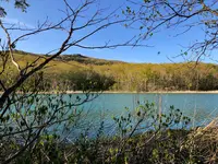 御在所園地・御在所湿原の写真・動画_image_452032