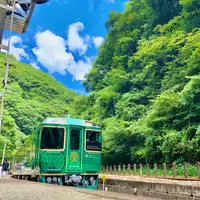 四国まんなか千年物語の写真・動画_image_452048