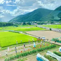 四国まんなか千年物語の写真・動画_image_452050