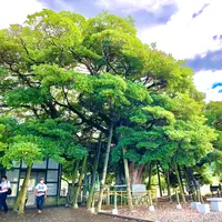四国まんなか千年物語の写真・動画_image_452052
