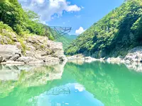 大歩危遊覧船の写真・動画_image_452057