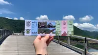 錦帯橋の写真・動画_image_452126