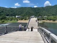 錦帯橋の写真・動画_image_452128