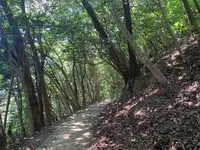 岩国城の写真・動画_image_452142