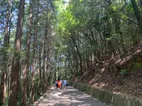 岩国城の写真・動画_image_452143