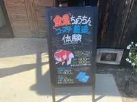 やない西蔵の写真・動画_image_452162