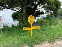 嵩山展望台の写真・動画_image_452171