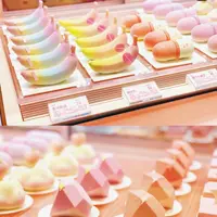 好利來 Holiland Pinkの写真・動画_image_452352