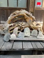 長泉院の写真・動画_image_452442