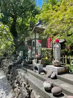 長泉院の写真・動画_image_452445