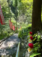 札所三十一番 観音院の写真・動画_image_452488